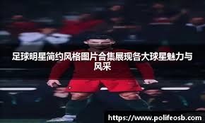 抱摔与半