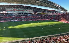 牌九高手为什么稳（牌九高手为何如此稳健）